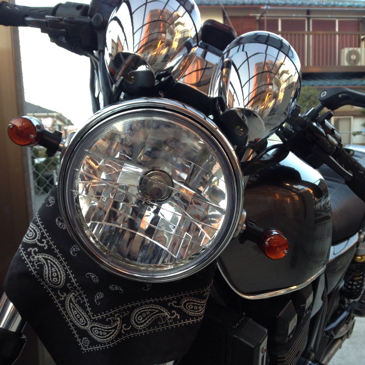 zyjacyainlove08's profile picture. 放置気味