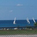 Barbara Hines - @bhiness - Twitter