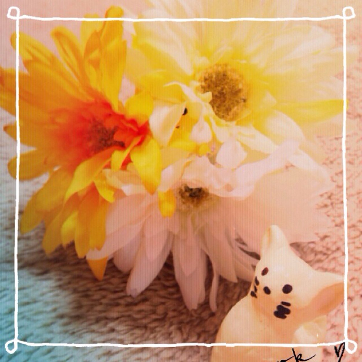 猫大好き♡甘い珈琲が好き♪朝は一杯の珈琲から。花・可愛いもの・おしゃべりが好き。 ホッと出来る珈琲タイムが大好き♬ マイペースに呟いて楽しめれたらいいな｡.ﾟ+:✿｡.ﾟ