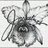 Jacquelines_dc's profile image