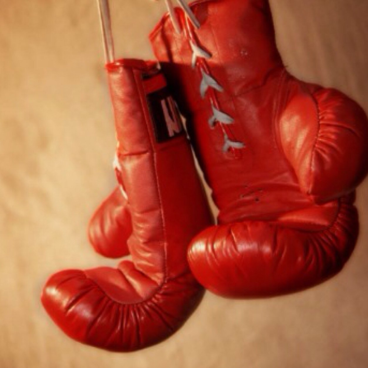 Boxing Fan