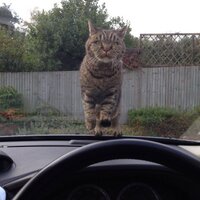 Mark Richards (@markyrichards) 's Twitter Profile