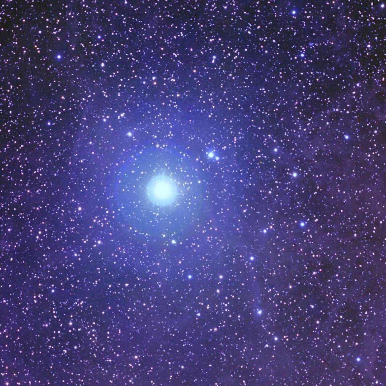 polaris1000's profile picture. 