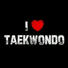 taekondo is not only a sport its a lifestyle - i have the blue belt