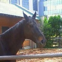 みさきのたかし (@t_misakino) 's Twitter Profile