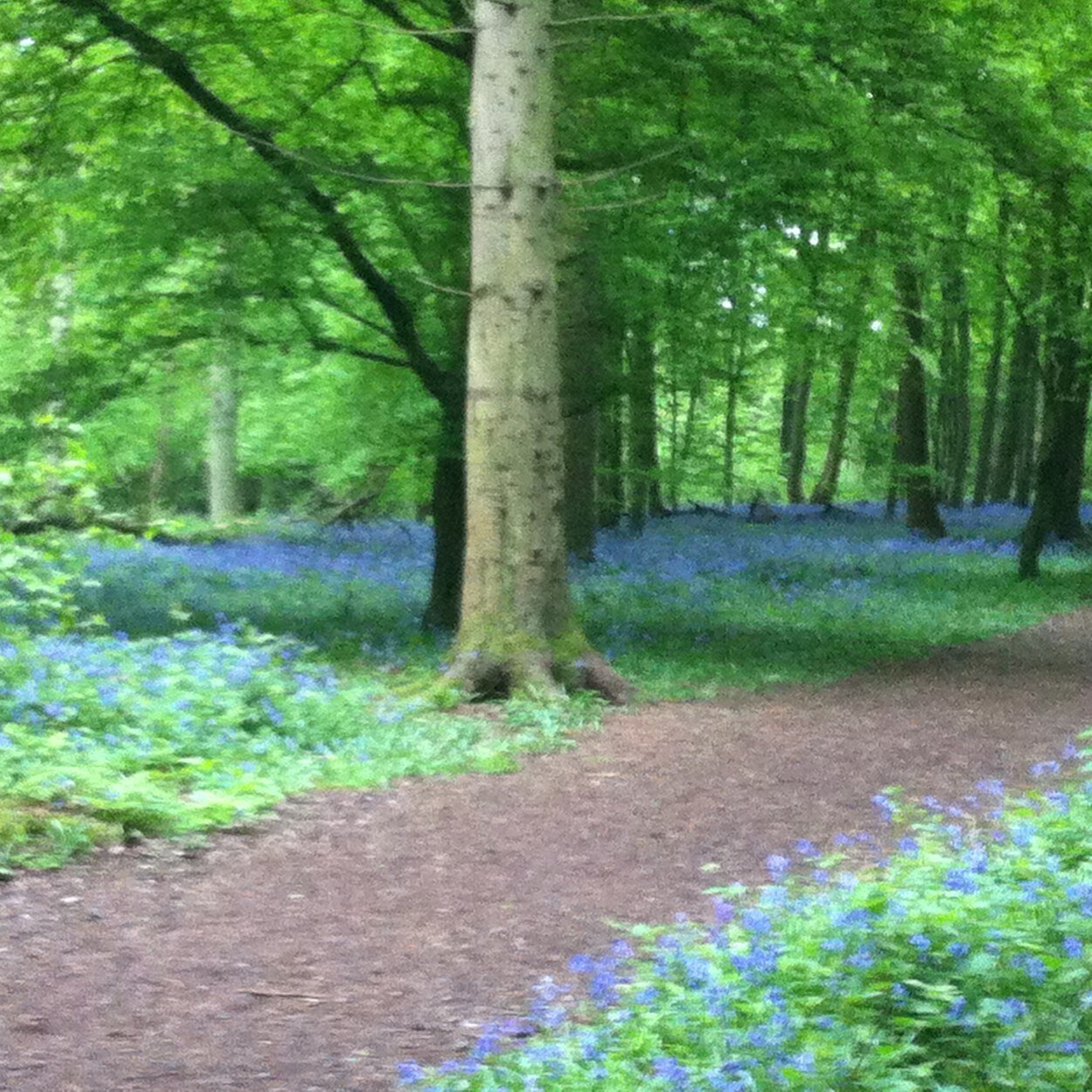 Confidential and non-judgemental counselling for children, adults, adolescents, couples and families in Herts, Beds, Bucks and London-Harley Street.