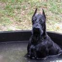 Melisa Davis - @Melisa66454 - Twitter