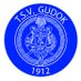 TSV Gudok (@tsvgudok) Twitter profile photo