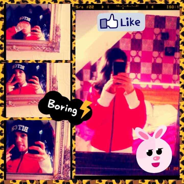 smilerxswagg's profile picture. my name is amber 13 years so I am very fan of Miley Cyrus so I'm a smiler and am halfpalastijns and if you do not repect degree tough luck