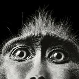 el_fna's profile picture. Jamaa El Fna Souk's: History, Hotels, Hobbies & Events