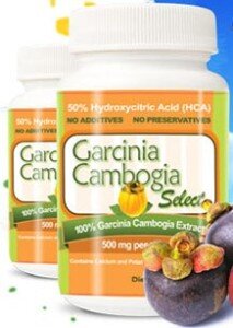 Garcinia Cambogia Select is a popular fat burner that restricts the flow of extra fat to get converted into cell structures.