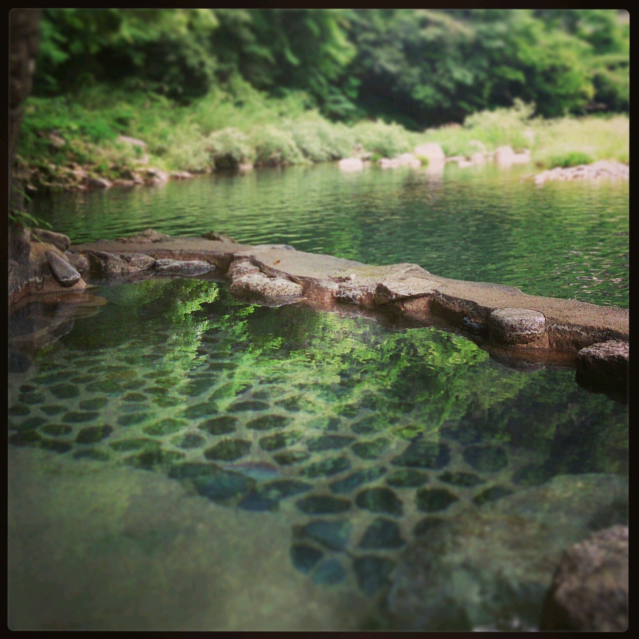 鄙びた温泉 共同浴場 銭湯 野湯
気になる温泉にはのんびりと
下道自走で走っていきます。

ホームは十津川温泉


紀泉温泉修験道実行委員