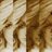 sara_carp's profile image