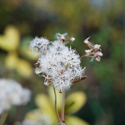 dukkuda's profile picture. 얇고 넓게 파는게 특기 / 구독하고 별글에 저장하는 계정 / 미천한 더쿠일뿐이니 팔로해도 신경쓰지 마시고 별이나 받으세여 두번 받으세여