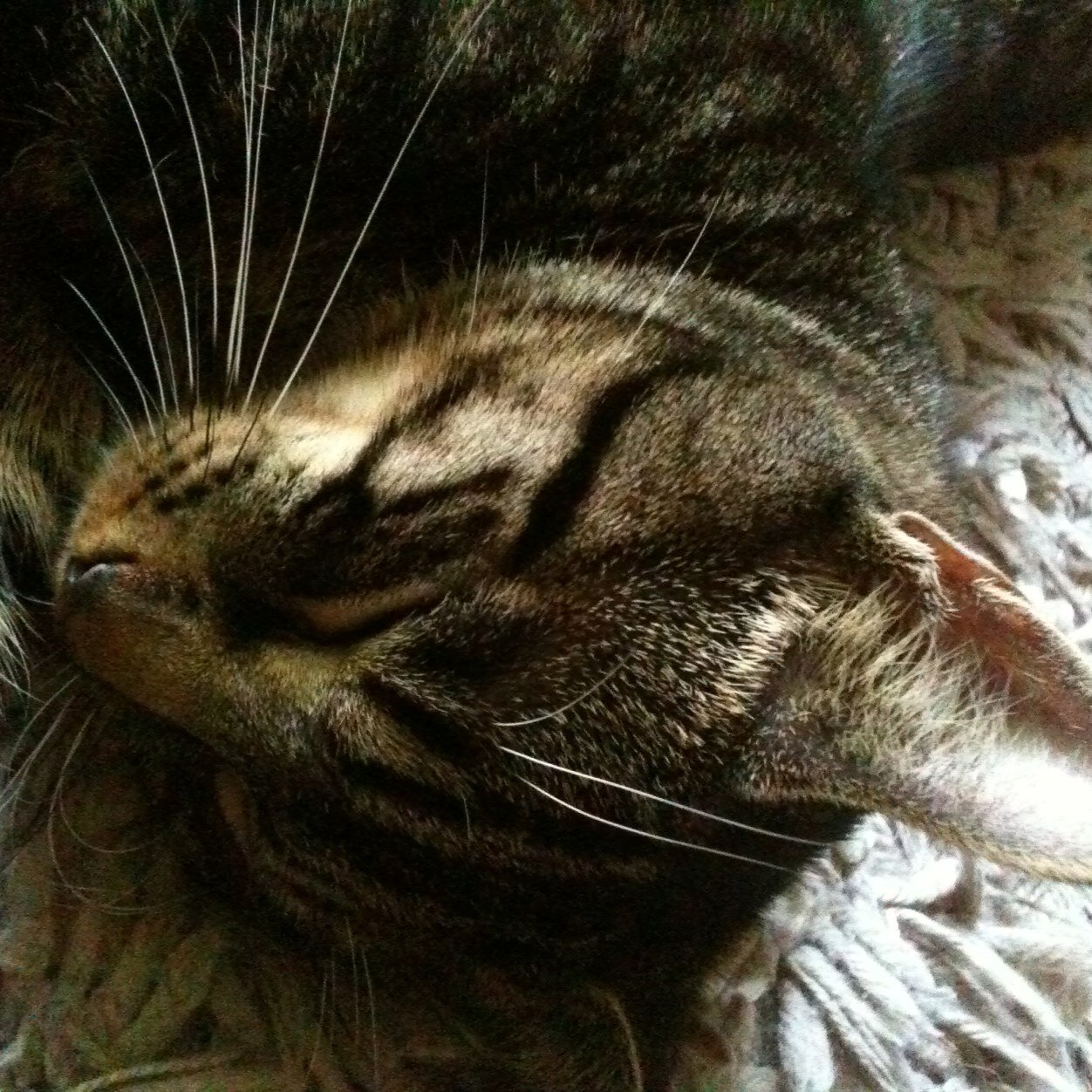 JonesLorain's profile picture. 