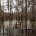 Doug Seaton - @SEATOD68 - Twitter