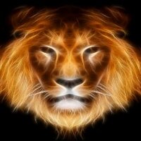 LeosWeAre/LeosAreUs(@LeosWeAre) 's Twitter Profile Photo