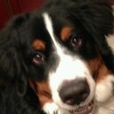 David Winterstein - @blndsqrrl - Twitter