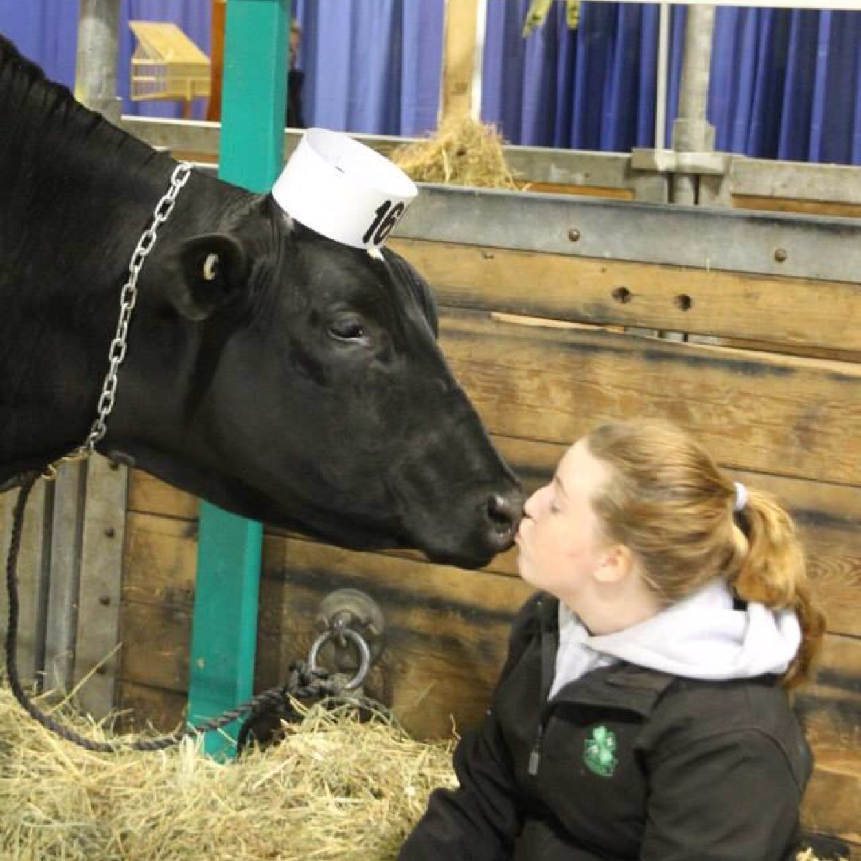 4-H Dairy Show Girl for life❥