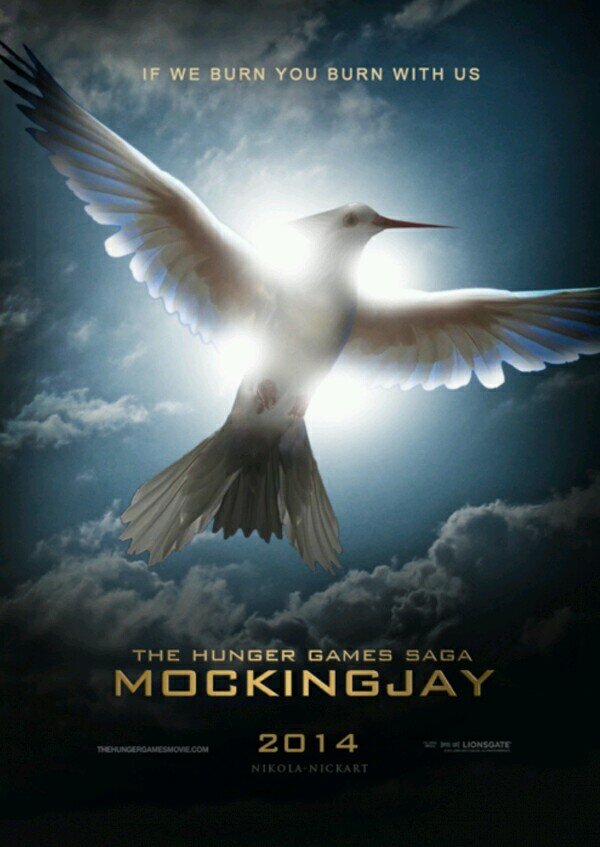 Mockingjay Part1 out in cinemas on the 21st November 2014!