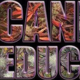 Work with Normal,So at the very least people with pain conditions have a healthier choice in relief,Then giving their selves over to the large drug companies420