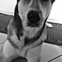 Alex Bartz - @Kimkim2810 - Twitter