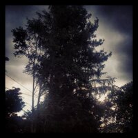 Dave (@stagent25) 's Twitter Profile