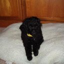 christine bunch - @christinebunch1 - Twitter