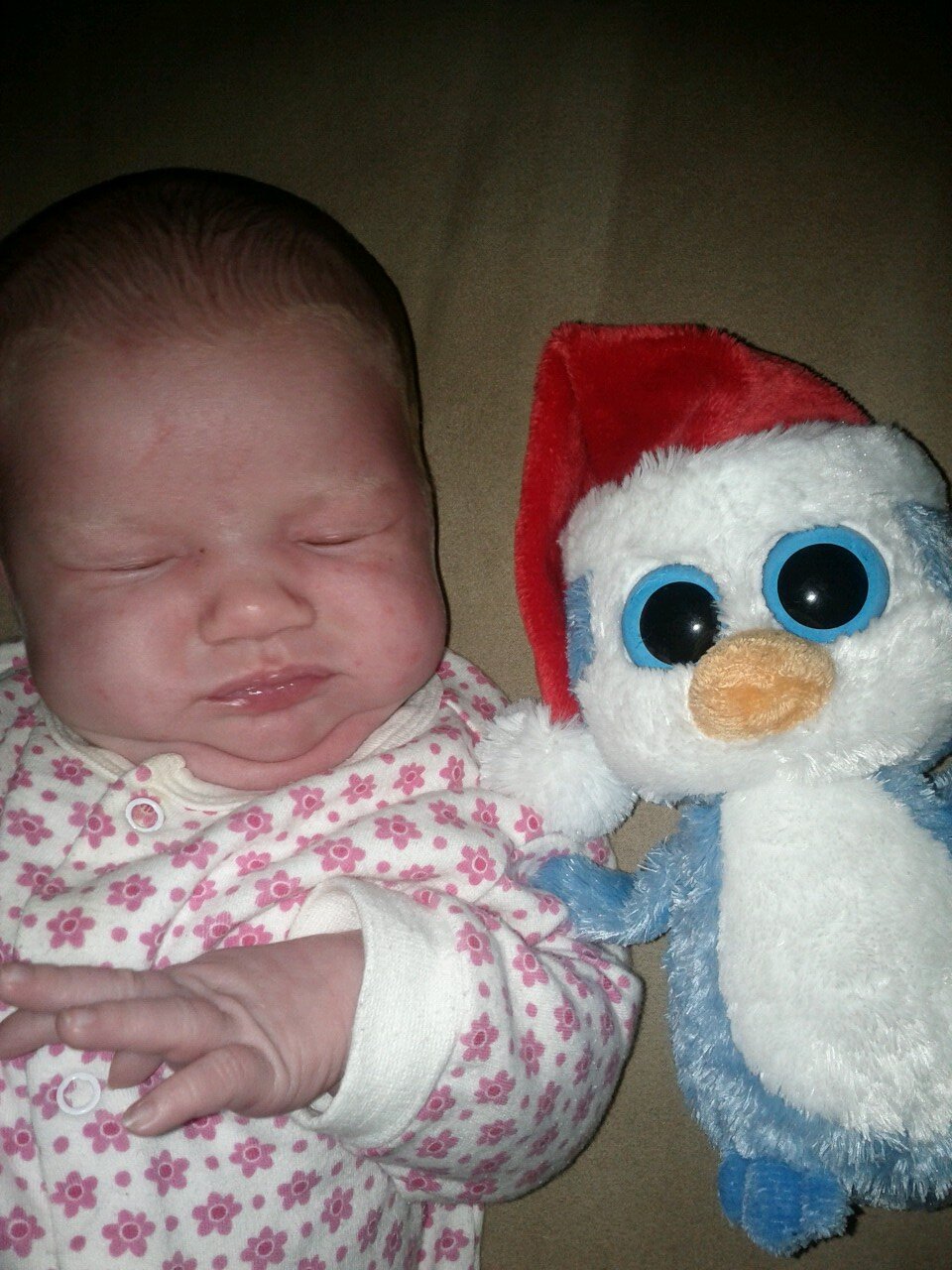 omasusie63's profile picture. #Resist 
#TheResistance