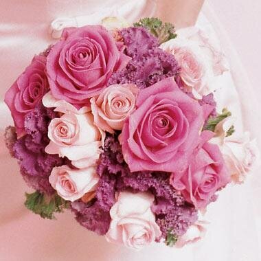 LunaRose222's profile picture. 