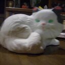 Angel Casey - @Angel_Casey0213 - Twitter