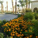 joseph khalil - @josephkhalil6 - Twitter