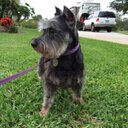 Barbara McCaslin - @BarbPatmccaslin - Twitter