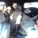 Randy Goldstein  - @wellbodykc - Twitter