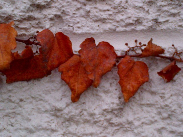 JennyLowellp's profile picture. 