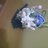 Ferry_Chndra's profile image