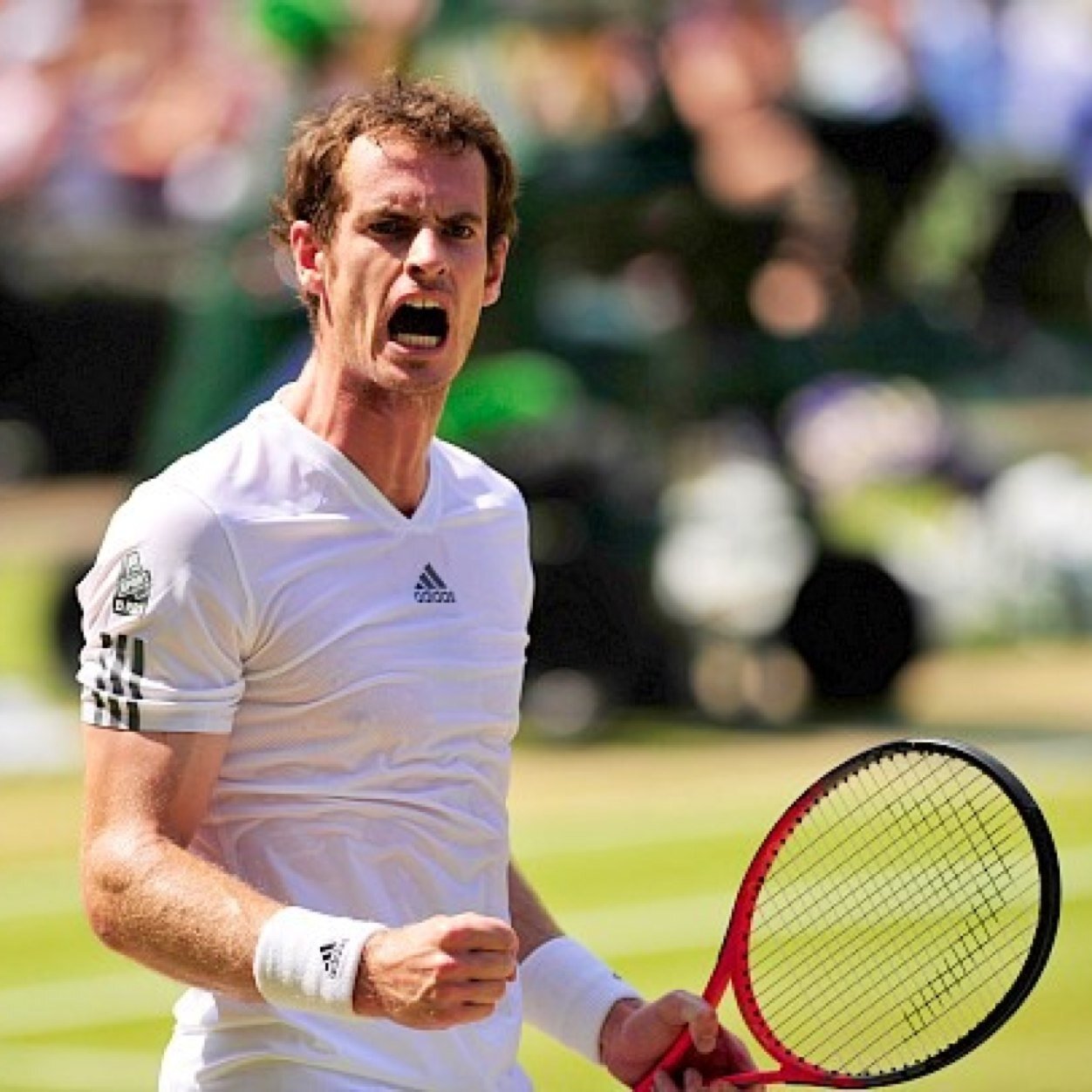 Tennis news and views with a focus on @Wimbledon champion @andy_murray. #ATP #Tennis #Murray #DavisCup