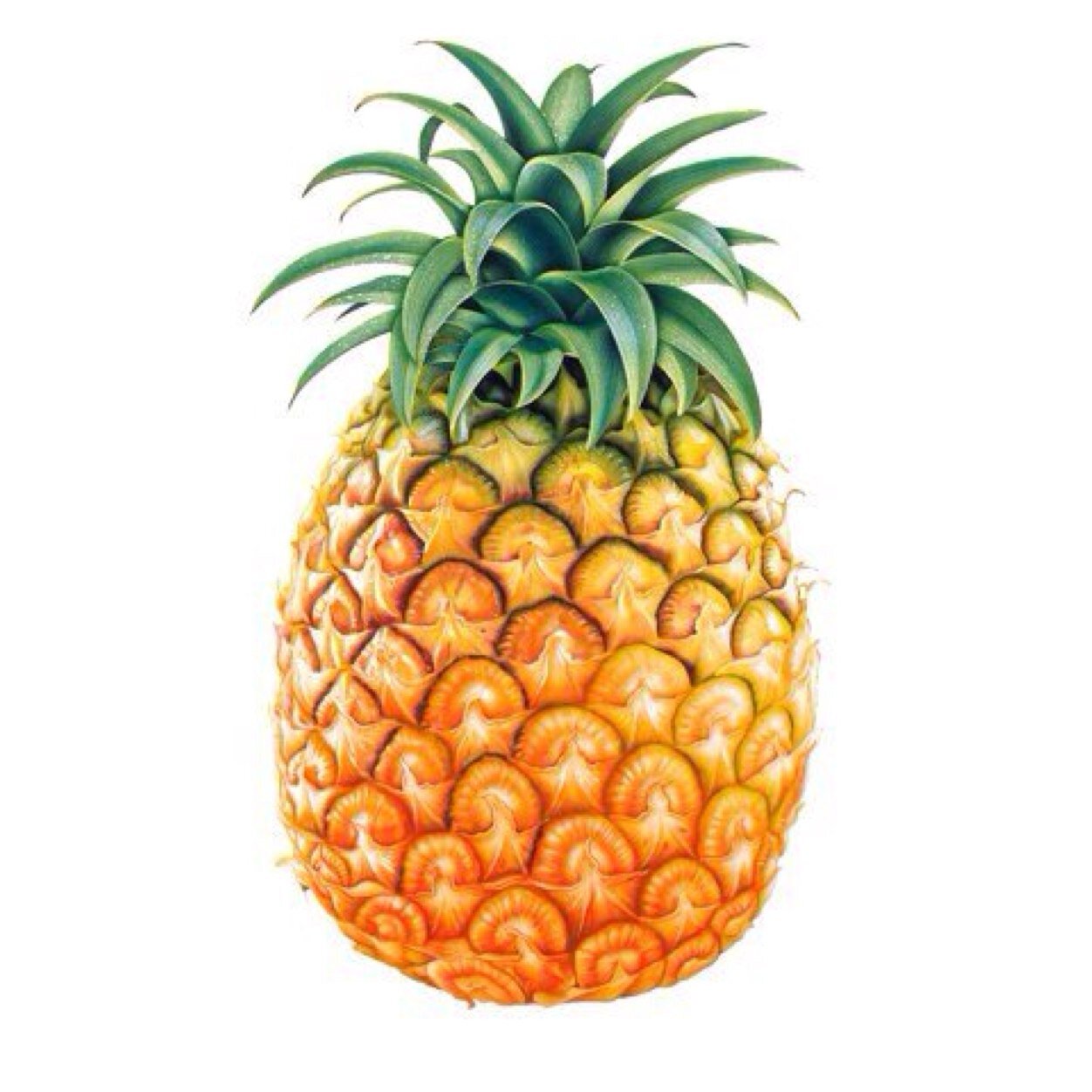follow @emileelouu and tweet me for a follow back :)