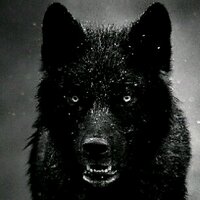 MORR (@morr_stonerhc) 's Twitter Profile