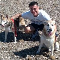 Marco A. Javarone (@marco_java) 's Twitter Profile