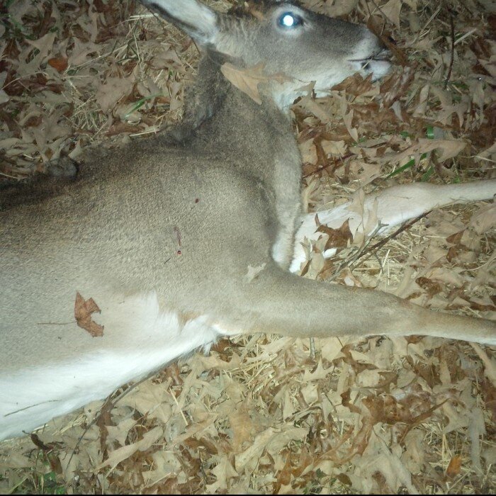 dwclayton11's profile picture. 