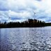 Petter Hedberg (peatland_sci) (@peatland_sci) Twitter profile photo