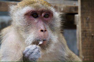 rhysj321's profile picture. 