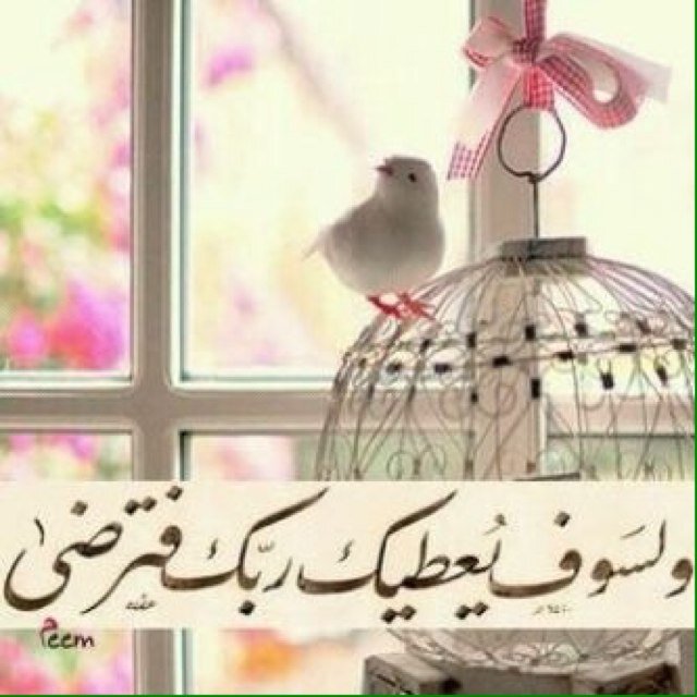 808Hotaf's profile picture. أنثى لست إلا.❤️