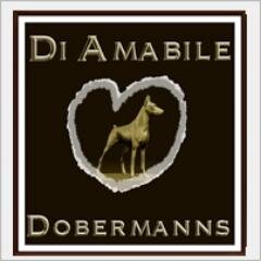 Dobermans