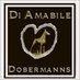 Di Amabile (@diamabile) Twitter profile photo