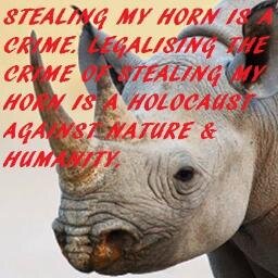 Vegan & Anti-speciesist & Animal Rights Activist. Passionate about rhinoceros.