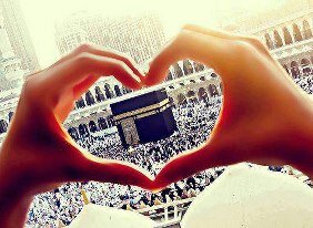 HadeerSaad91's profile picture. 