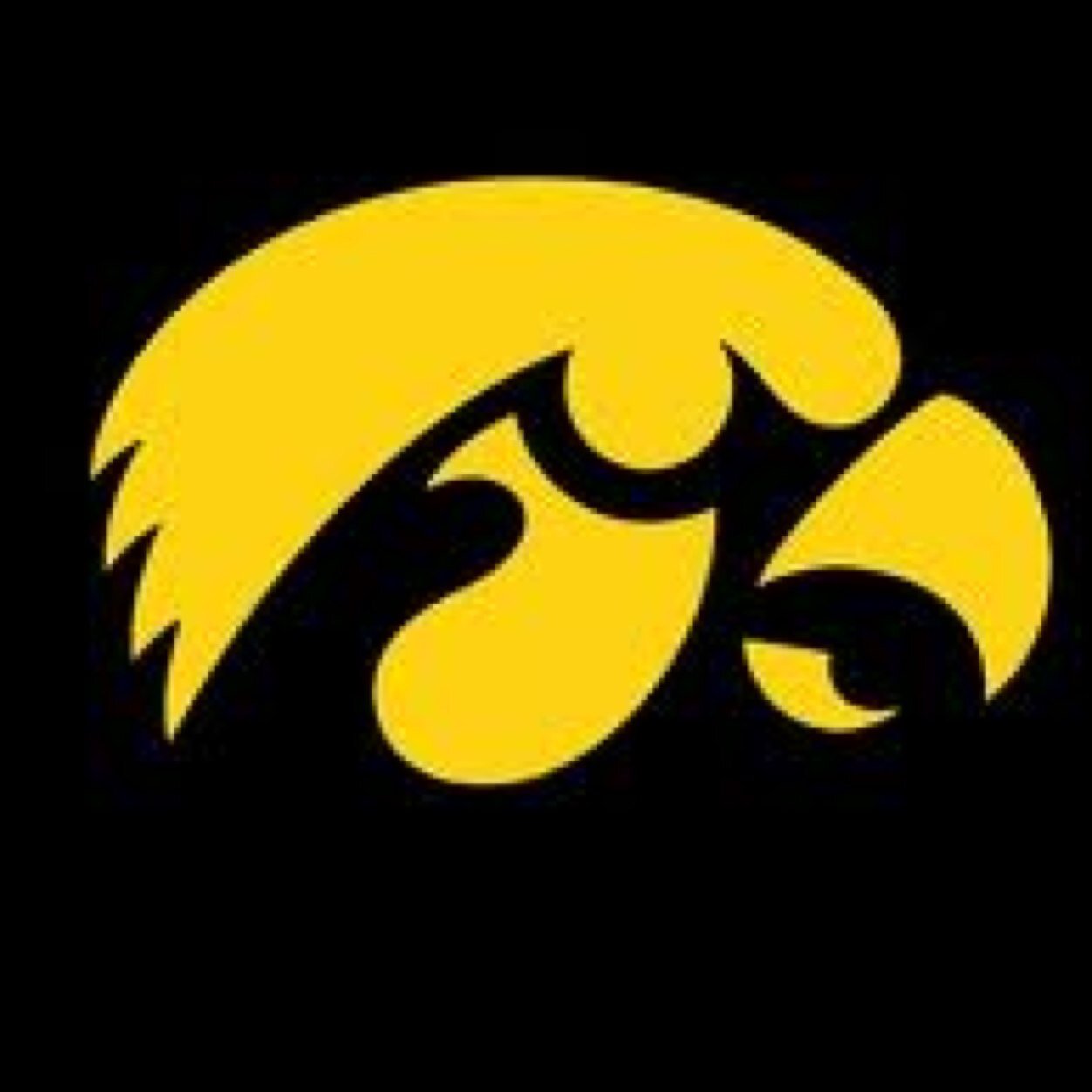 Iowa Hawkeyes & Red Sox Fan