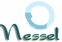 nesselinc's profile picture. Enriching the lives of many through multifamily development.